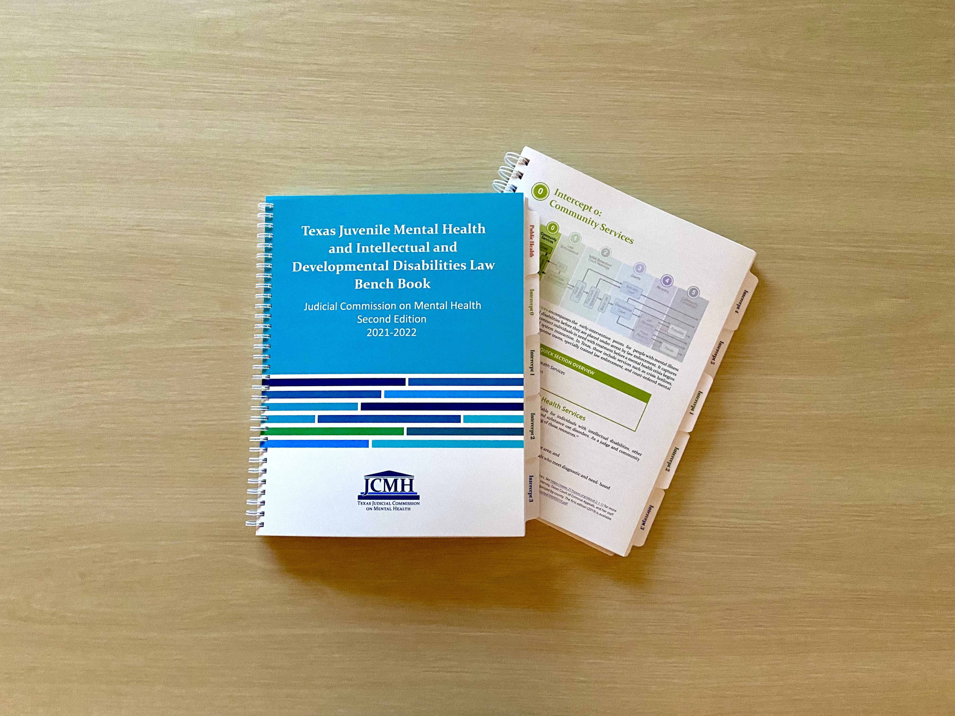 Juvenile Bench Book | Texas Judicial Commission on Mental Health